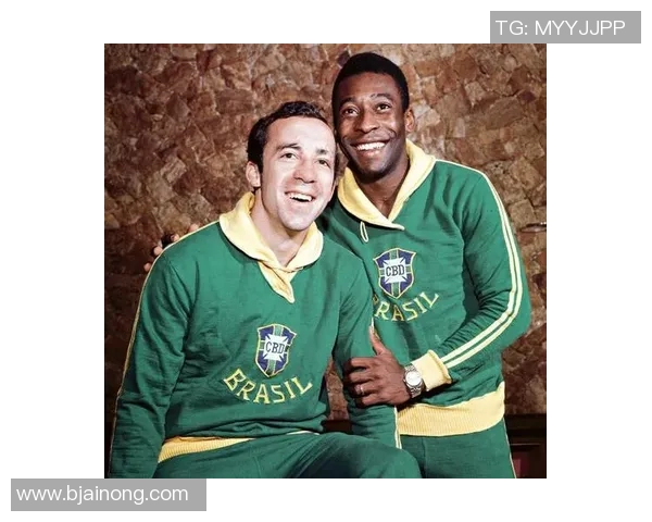 篮球球星与足球之星的相似之处解析与比较分析