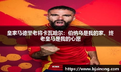 k1体育官网
